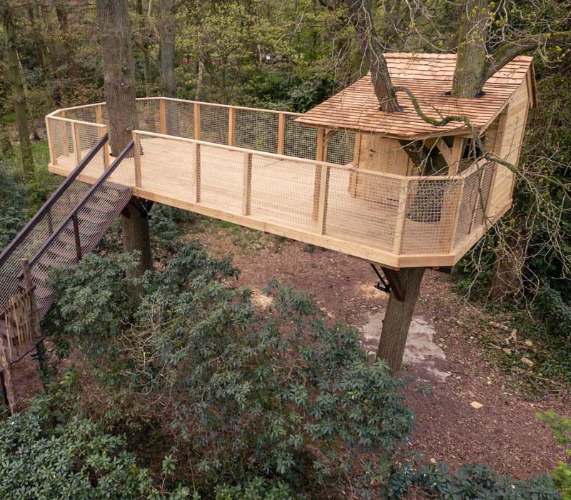 Boomhutten